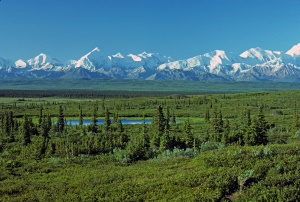 Denali National Park | Wonder Lake